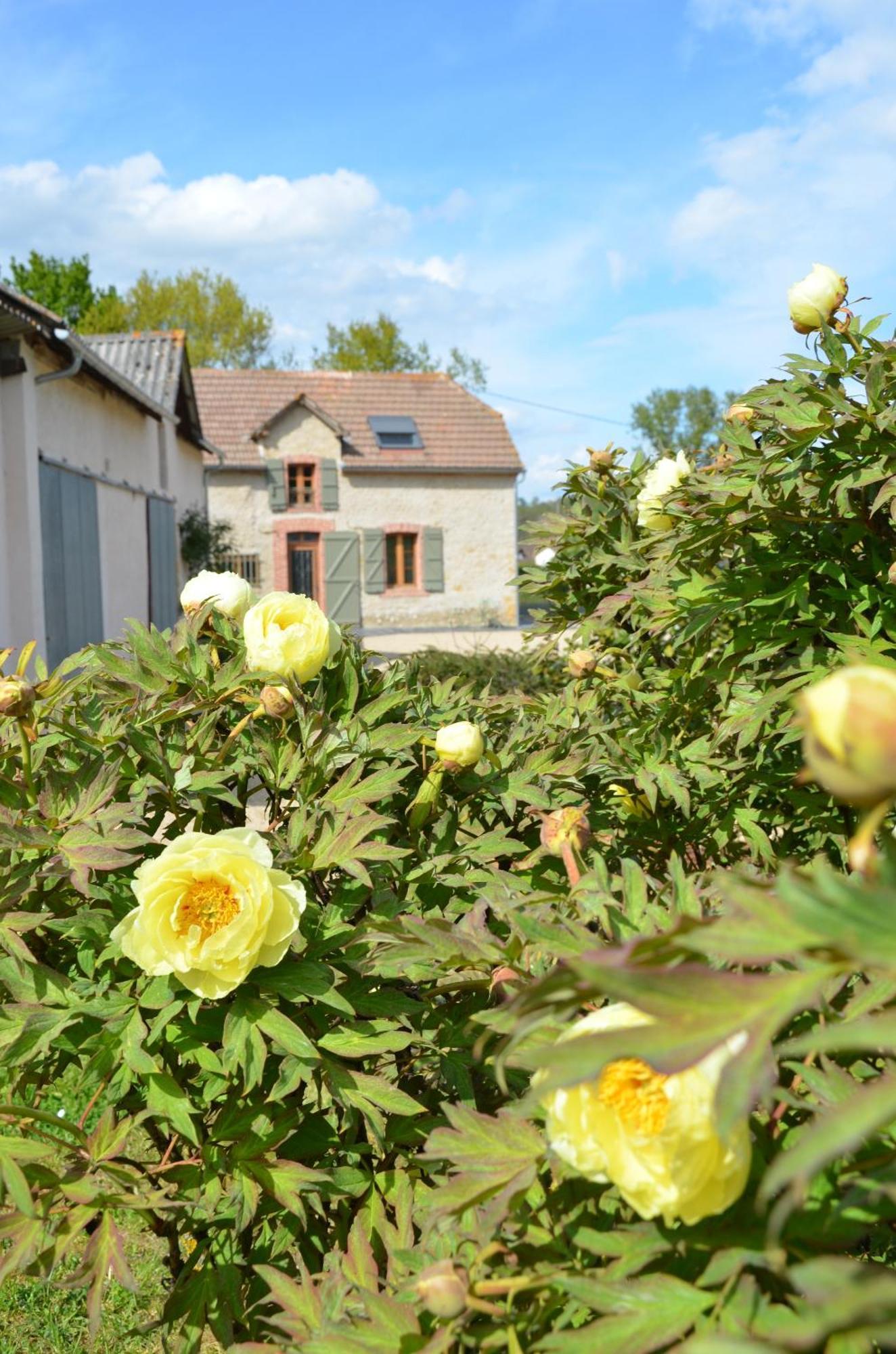 Ecogite Rural La Cle Des Champs Peyrelongue-Abos Exterior foto
