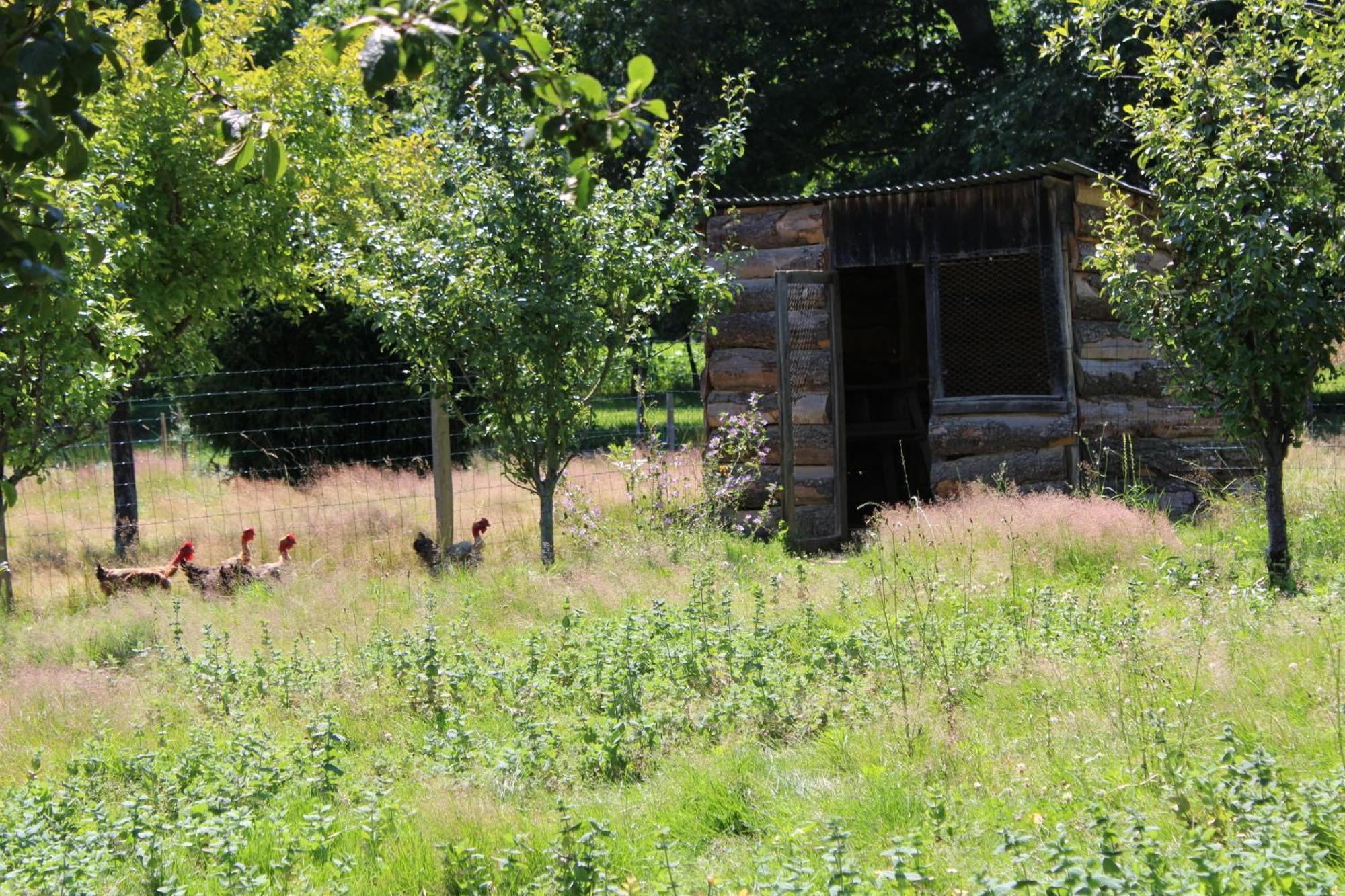 Ecogite Rural La Cle Des Champs Peyrelongue-Abos Zimmer foto